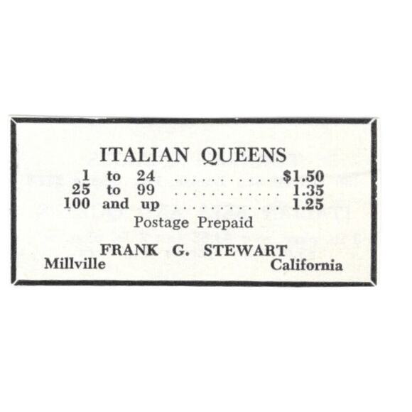 None Other - Italian Queens Frank G. Stewart Millville California 1961 Magazine Ad AB6-S13
